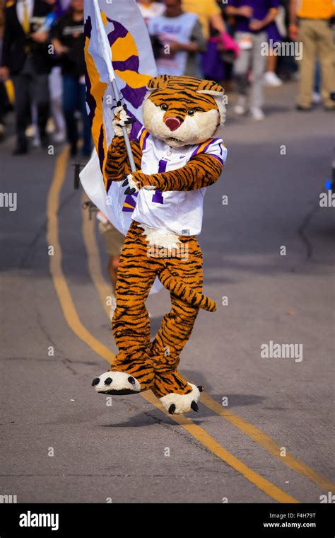 Rouge, LA, USA. 17th Oct, 2015. LSU Tigers mascot Mike the Tiger before ...