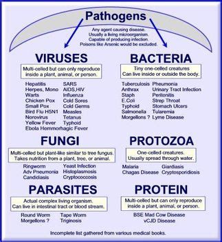 Pathogens and Diseases