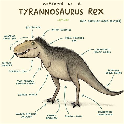 Anatomy Of A T Rex Dinosaur Art Print By Wraptious | notonthehighstreet.com