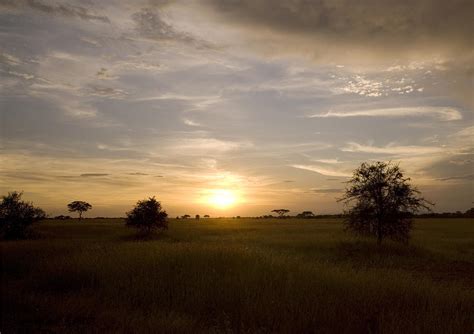 Serengeti sunset Photograph by Patrick Kain - Pixels