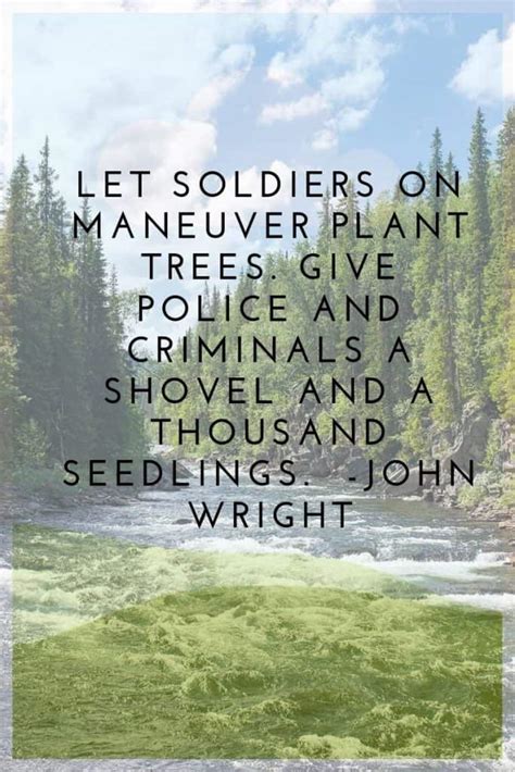 100 + Tree Planting Quotes AKA Quotes for Tree Planting