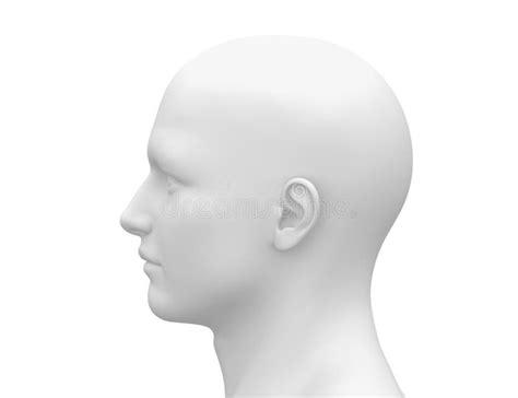 Blank White Male Head - Side View Stock Illustration - Illustration of front, figure: 30057896