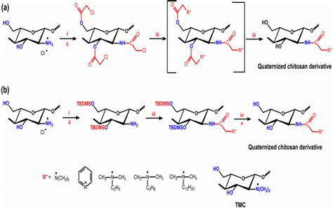 Scheme 12. Route for synthesis of the N-quaternized chitosan... | Download Scientific Diagram