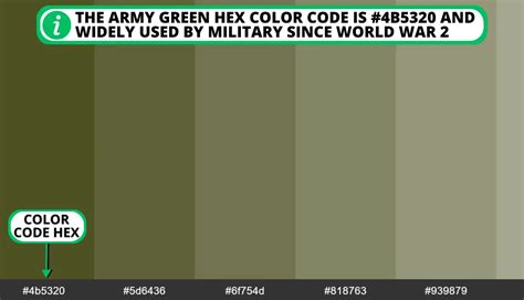 What Shade Of Green Is Army Green: 5 Essential Points To Know