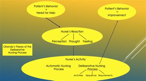 Orlando’s Theory of the Deliberative Nursing Process | Nursology