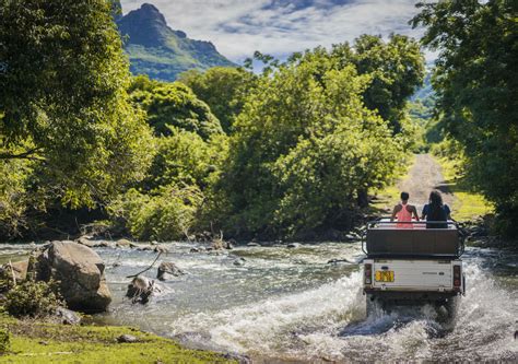 Yemen Experience | Mauritius - Yemen