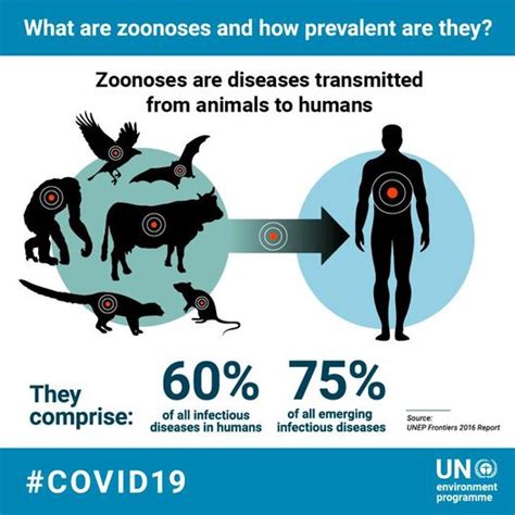 Let's connect the dots on COVID-19 and other zoonotic diseases - Veggy Malta