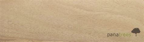 Gmelina, Melina, Gamar, Gamari Gmelina arborea - Panatrees Hansa | Exotic hardwood from Central ...