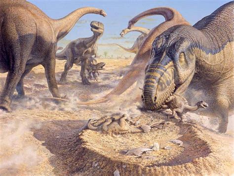 17 Best images about Aucasaurus on Pinterest | History museum, South ...