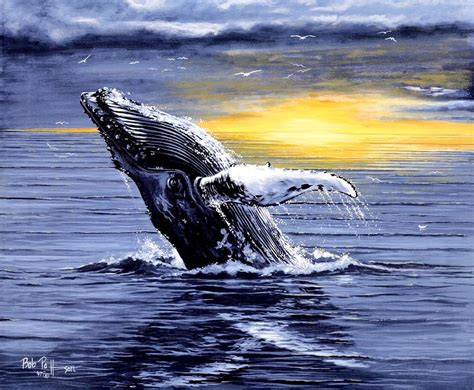 Humpback Whale Breaching by Bob Patterson