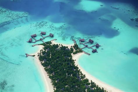 Tropical Island At Maldives by 1001nights