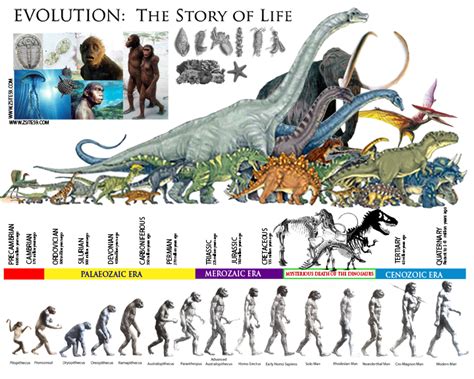 Z59 NEWS & STORIES: EVOLUTION: The Story of life │ The Prehistoric ERAS ...