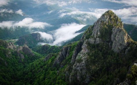 Romanian beech forests included in the UNESCO World Heritage List - True Romania