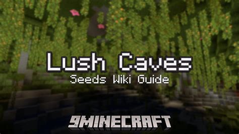 Lush Caves Seeds - Wiki Guide - Mc-Mod.Net