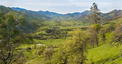 Tule Elk Habitat Conserved in California – Rack Camp