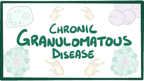 Chronic granulomatous disease: Video & Anatomy | Osmosis