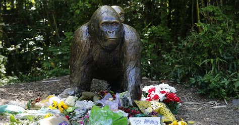 Science offers 'future' out of Harambe's remains