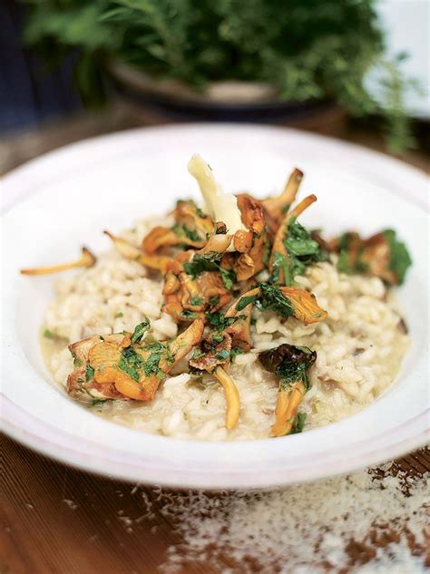 Mushroom risotto recipe