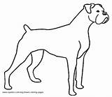 Free Printable Boxer Dog Coloring Pages  Sheet sketch template