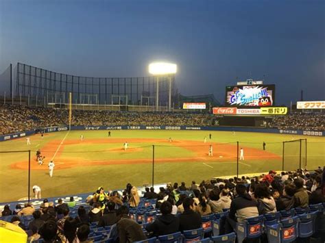 Watching Baseball in Tokyo – Go Go Swallows! - The Occasional Traveller