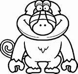 Baboon Coloring Pages At GetColoringscom  Free Printable Colorings sketch template
