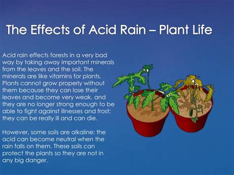 PPT - Acid Rain PowerPoint Presentation - ID:2884717