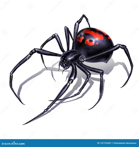 Black Widow Spider Cartoon Vector | CartoonDealer.com #26394757