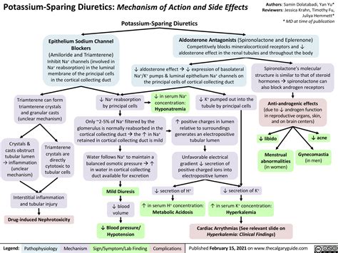 Potassium-Sparing Diuretics: Mechanism of Action and Side Effects | Calgary Guide