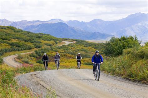 Independent Activities | Denali National Park Alaska