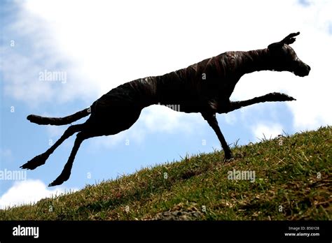 Dog Running Silhouette Stock Photo - Alamy