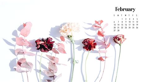 Light Pink Floral Flowers February Calendar White Background HD ...