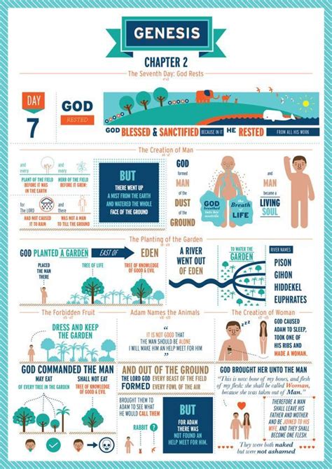 genesis infographics | Genesis bible study, Genesis bible, Bible study notebook