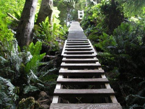 West Coast Trail ladders - huh?? will I survive this?? | West coast trail, Next holiday ...