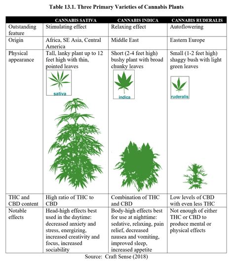 Chapter 13: Cannabinoids – Drugs and Behavior