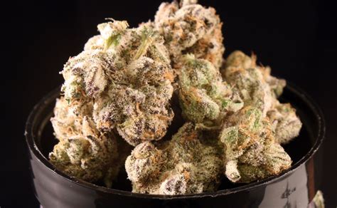 Platinum Girl Scout Cookies Weed Review