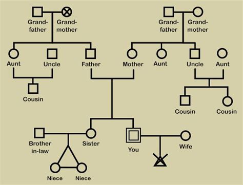 A Creative Guide on How to Make a Genogram for Your Family | Family ...