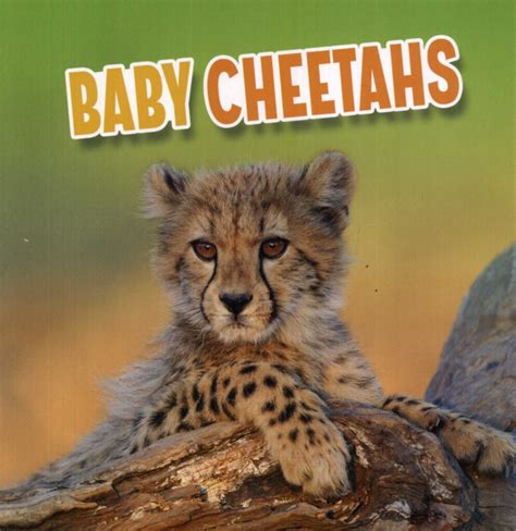 Baby Cheetahs - Laburnum House Educational