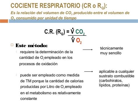 Metabolismo cuantitativo