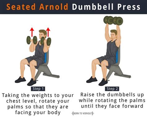 Dumbbell Overhead Press: What is it, How to do, Benefits