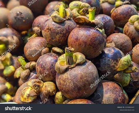 2,106 imágenes de Mangosteen malaysia - Imágenes, fotos y vectores de stock | Shutterstock