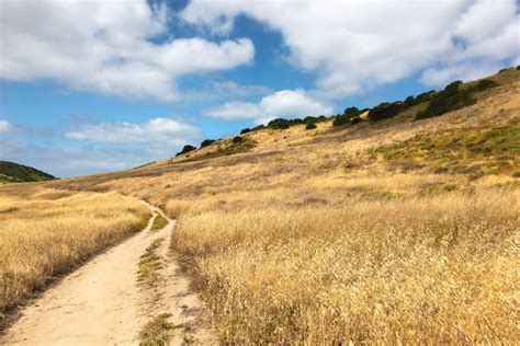 Where to Run in San Diego, California | Trail Sisters®