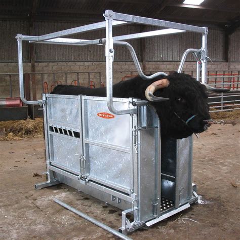 Highland Cattle Handling Crate - Ritchie