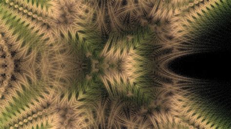 Wallpaper,fractal,fern,plant,color - free image from needpix.com