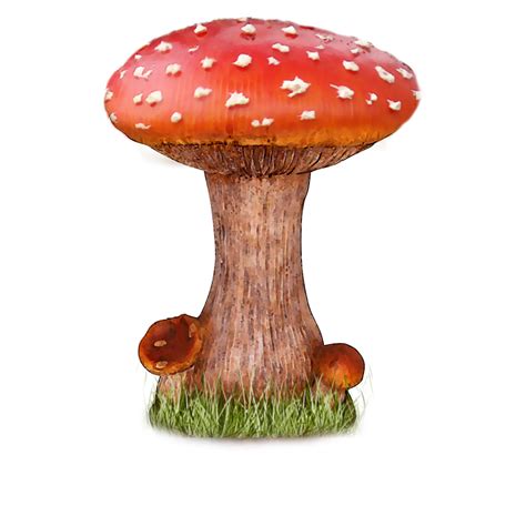 Mushroom PNG Transparent Images - PNG All