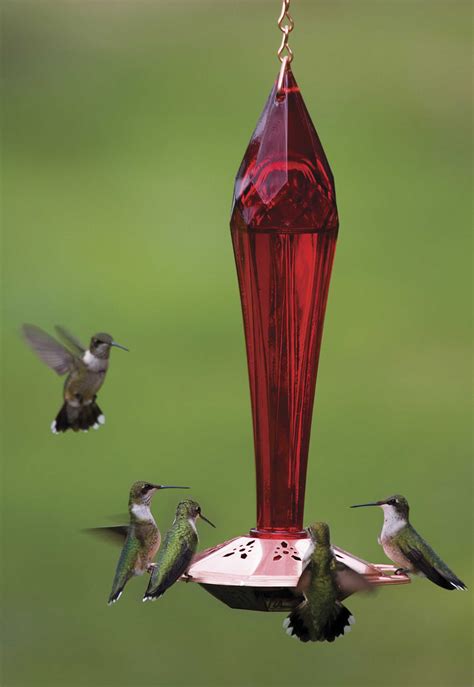 Ruby Red Hummingbird Feeder - YardBirds