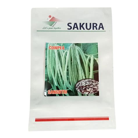 Common Cowpea Seeds at Best Price in North 24 Parganas, West Bengal | T.p. Seeds Firm