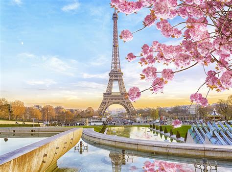 Spring Morning Scenery Background Eiffel Tower Paris French Landmark P ...