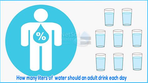 How many liters of water should an adult drink each day? Netsolwater.com