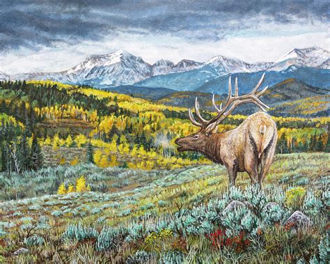 Rocky Mountain Bull Elk Painting by Aaron Spong - Pixels