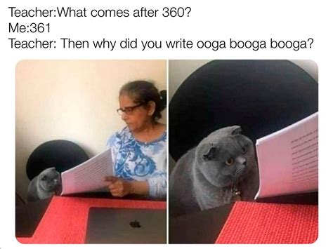 360 ooga booga booga : r/memes